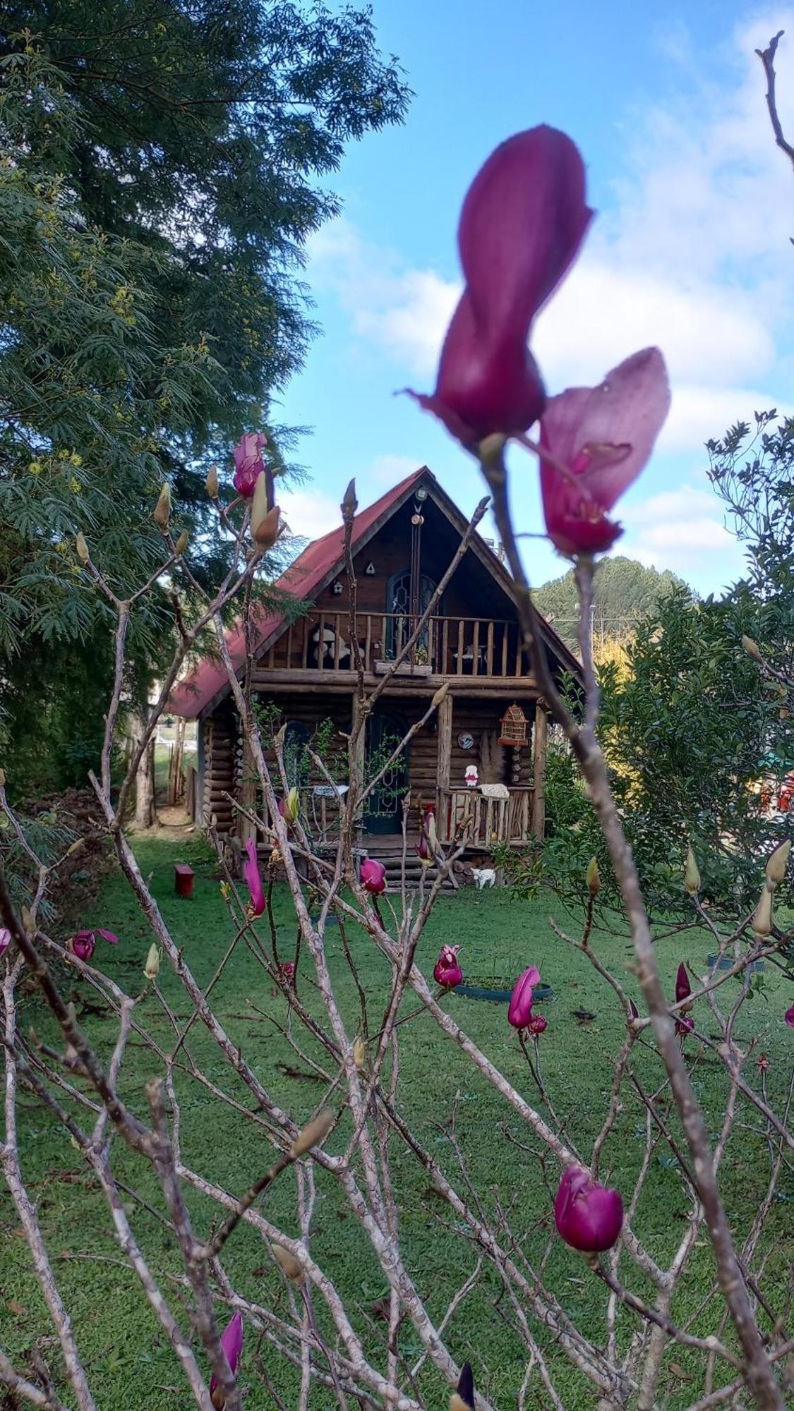 Hotel Casa De Toras Campo Alegre  Exterior foto